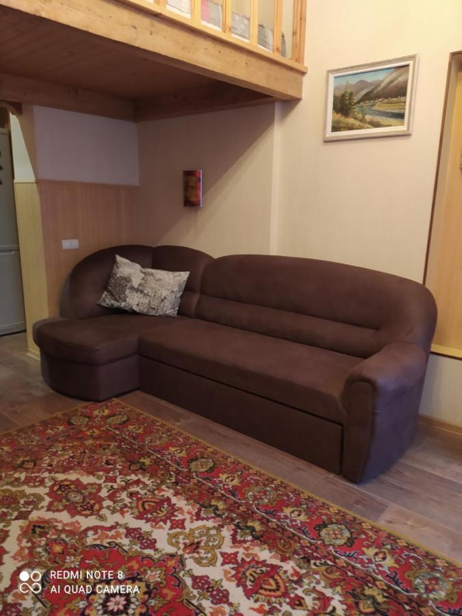 Apartment Na Shevchenka 3 利沃夫 外观 照片